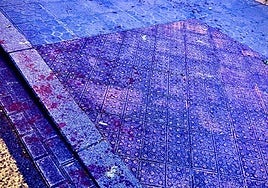 En Mazarredo se produjo una pelea a navajazos.