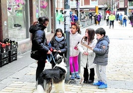 El Consejo realizó una encuesta a habitantes con perro.