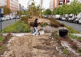 Material de jardinería abandonado como consecuencia de la huelga.