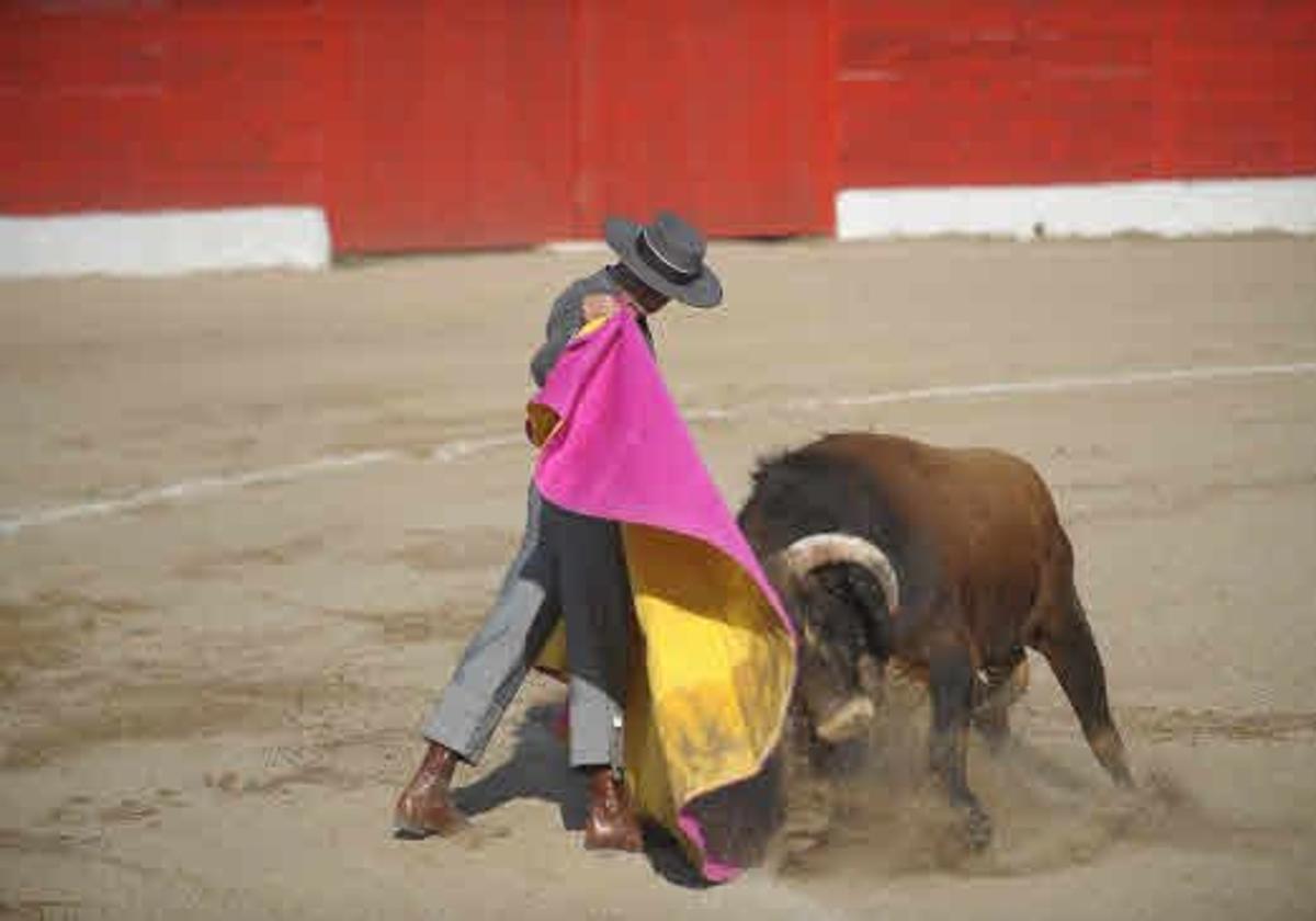 Una fundación ecologista denuncia la oferta infantil para una novillada en Orduña