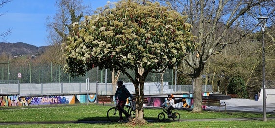 Hasta el 31 de mayo, las diferentes áreas municipales serán las encargadas de analizar el contenido de estas propuestas