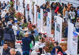 Cientos de jóvenes profesionales y estudiantes se han acercado a los 'stands' de las empresas