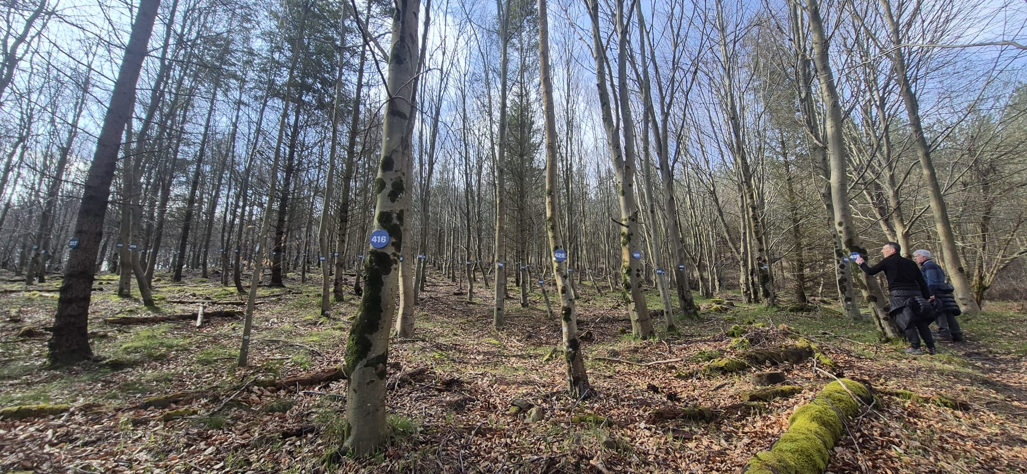 Euskadi abre su primer 'monte-aula' en Bermeo para ensayar la gestión forestal