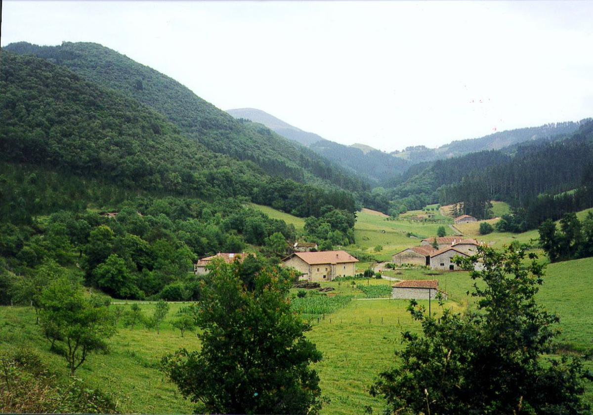 Burgos, paraíso primaveral para amantes de las setas