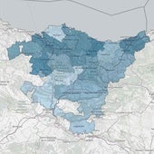 Del 54% de Vitoria al 65% de Ayala: así se ha desplomado la natalidad en medio siglo en Álava