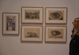 Exposición de Max Ernst en el Bellas Artes de Bilbao.