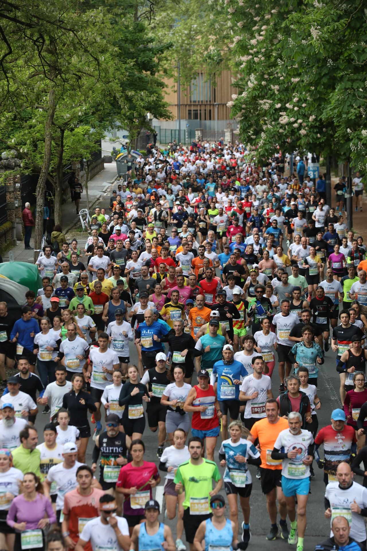 Todas las imágenes del Maratón Martín Fiz 2025