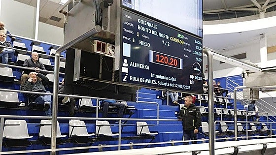 El precio del primer bonito del norte cae a 120,20 euros, el más bajo de los últimos años