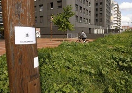 Carteles anuncian la presencia de garrapatas en la calle Océano Pacífico de Zabalgana.