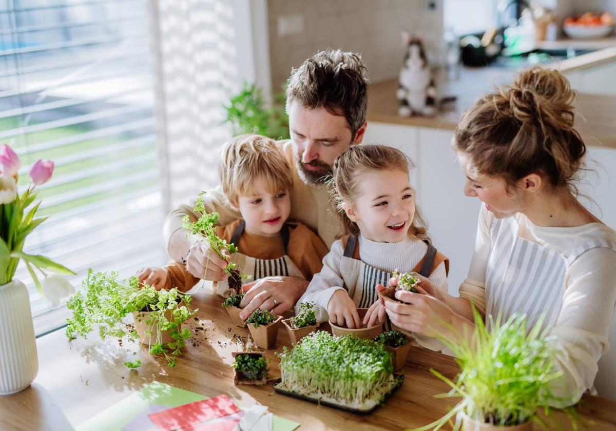 «La base de la sostenibilidad es la de nuestras abuelas, optimizar y aprovechar mejor los recursos»
