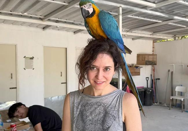 Ayuso durante su visita al santuario de Cuesta.