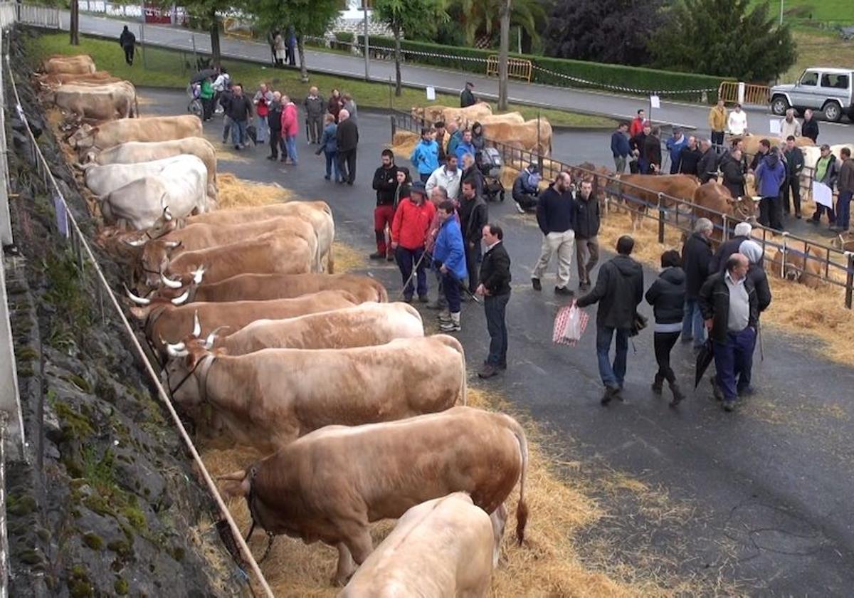 Zeanuri celebra desde este jueves y hasta el domingo sus fiestas de San Isidro