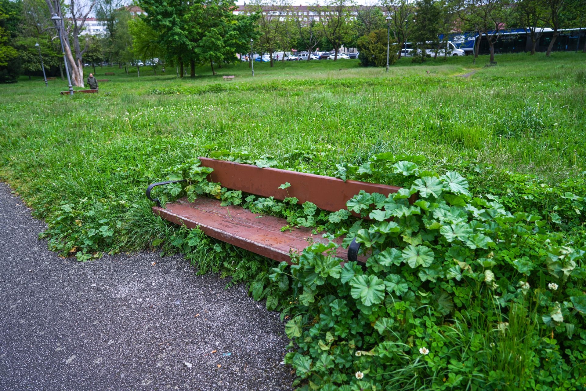 El aspecto asilvestrado de los jardines de Vitoria