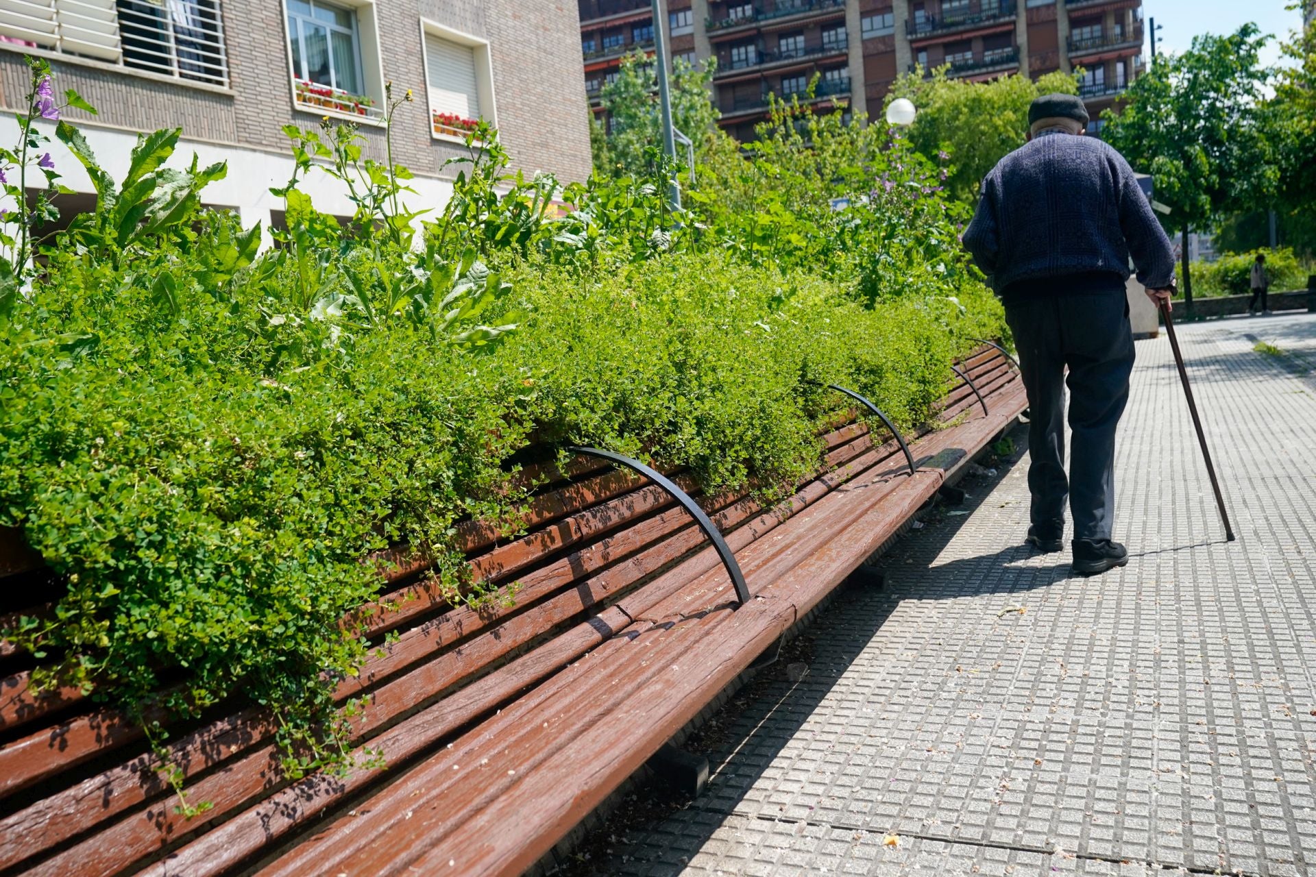 El aspecto asilvestrado de los jardines de Vitoria