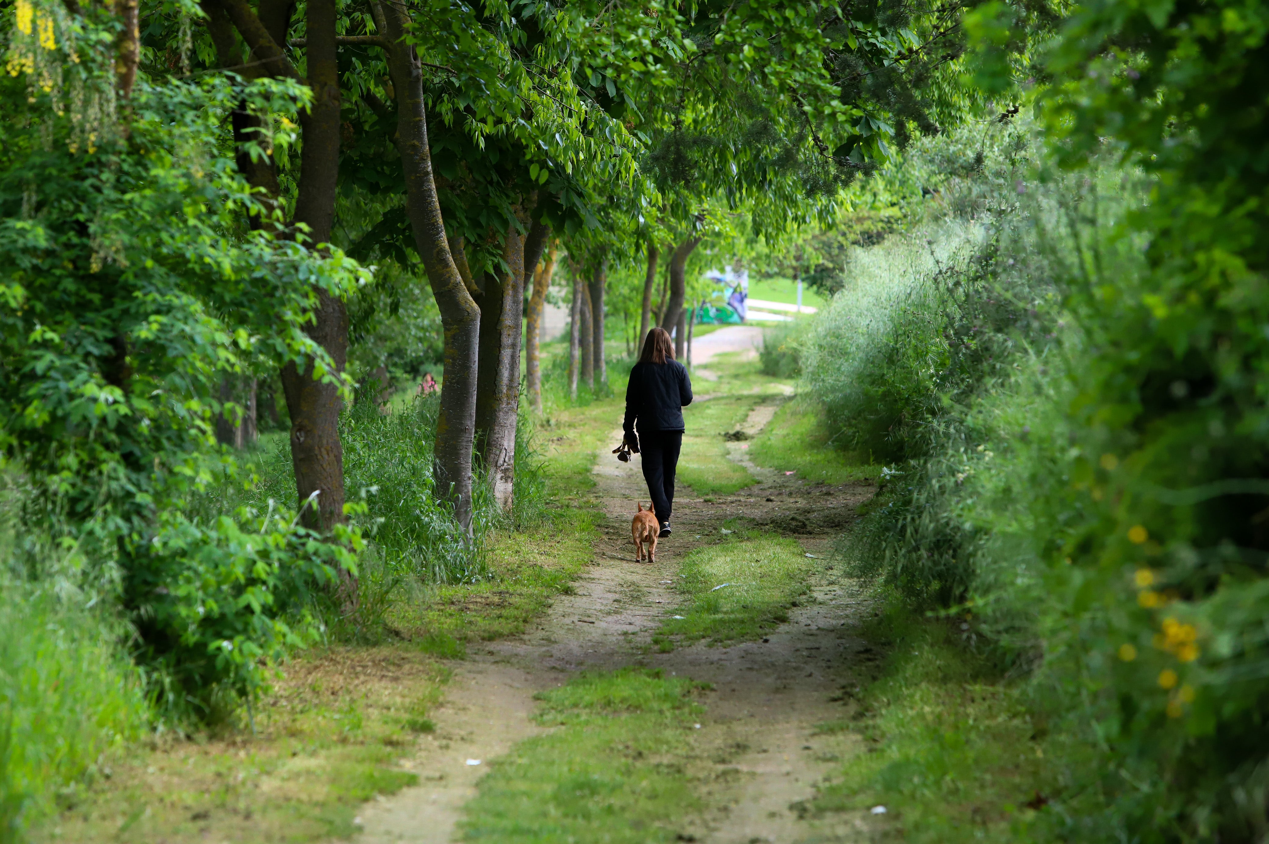 Miranda no piensa en verde