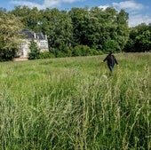 Los jardines están «asilvestrados» a causa de la huelga iniciada el 26 de marzo.