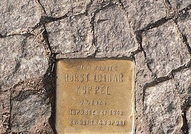 Imagen de las placas de la memoria.