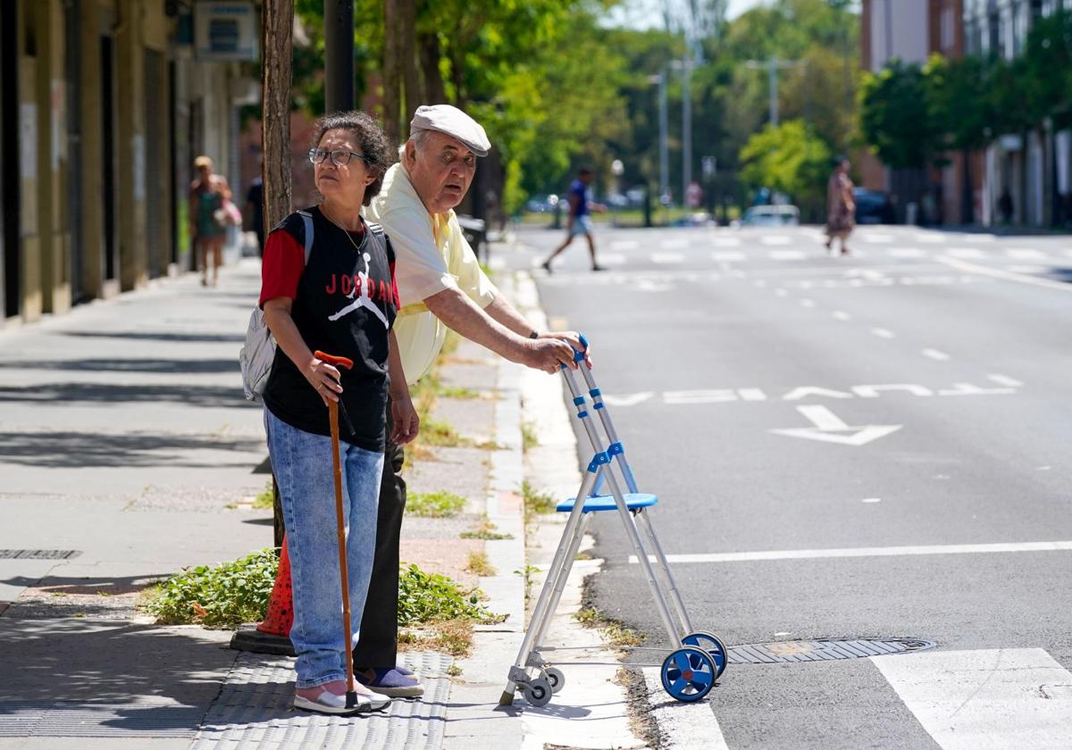 Álava necesitará en 2030 mil asistentes personales más para el cuidado de dependientes en casa
