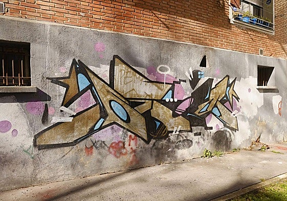 Pintadas en Ariznabarra