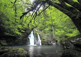 La cascada de Osinberde puede llegar a desaguar 600 litros por segundo en temporada de lluvia.