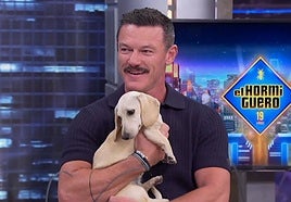 Luke Evans, con su perrita Lala en 'El Hormiguero'.