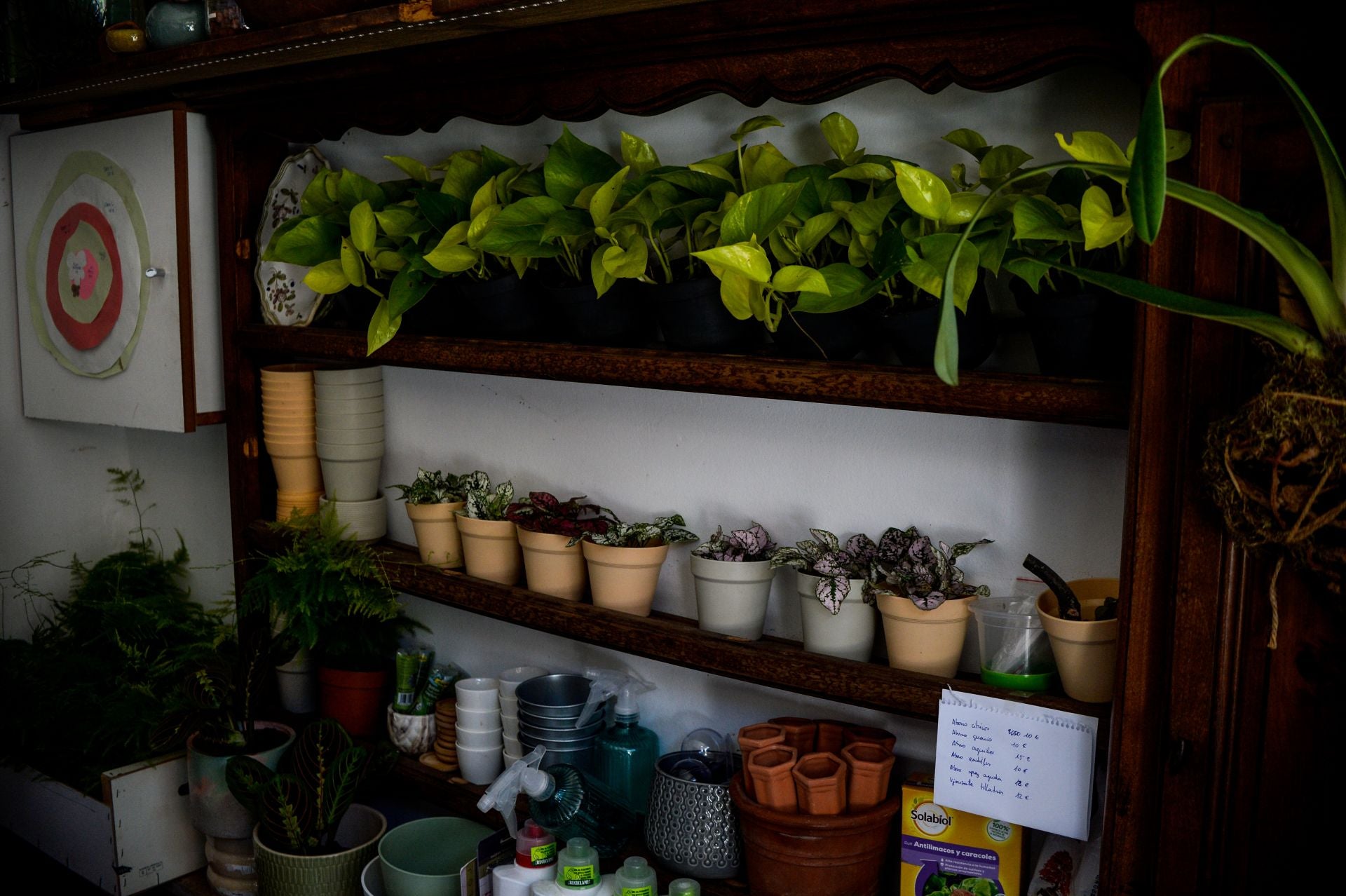 Edu cambia de vida y abre la única floristería de La Peña para que florezca el barrio