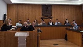 Las seis alegaciones del PNV sobre el servicio 'Auzo Tazi' fueron rechazadas.