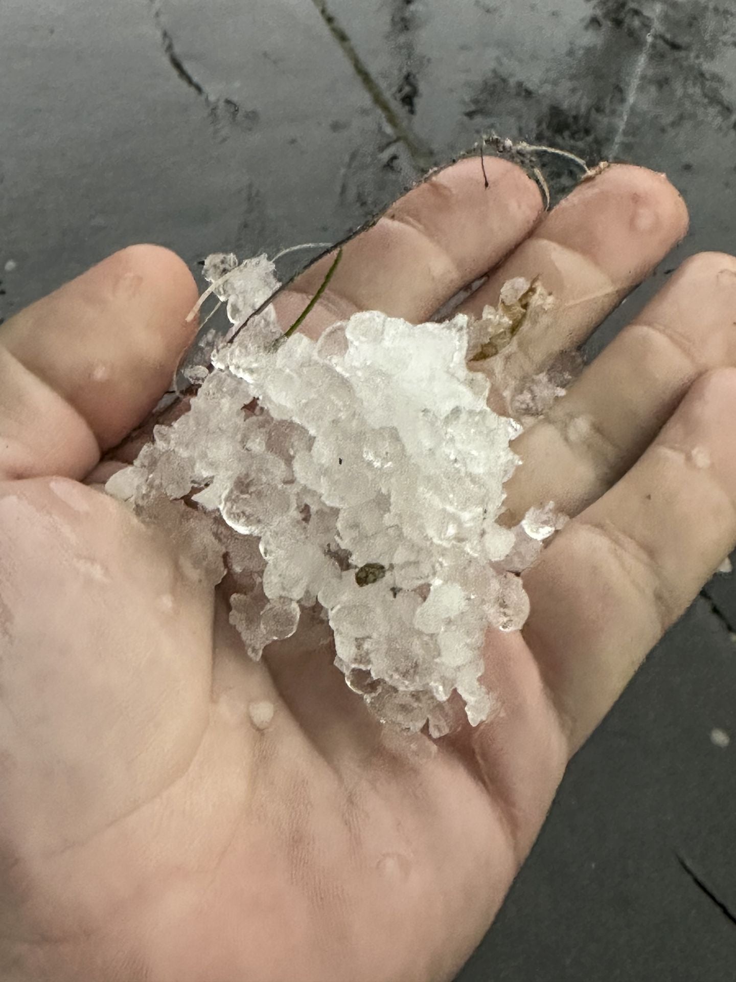 La tormenta de Vitoria en imágenes