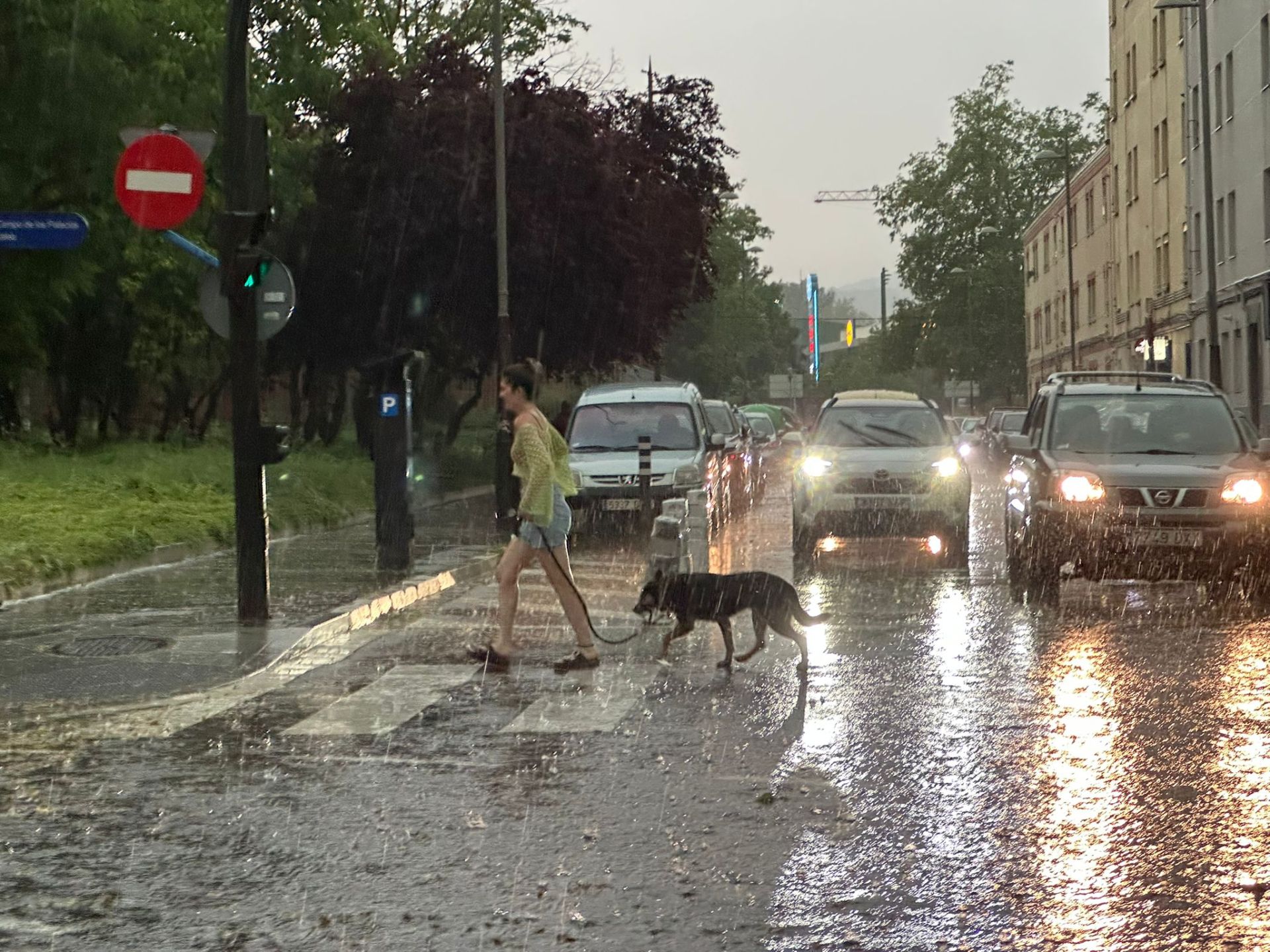 La tormenta de Vitoria en imágenes