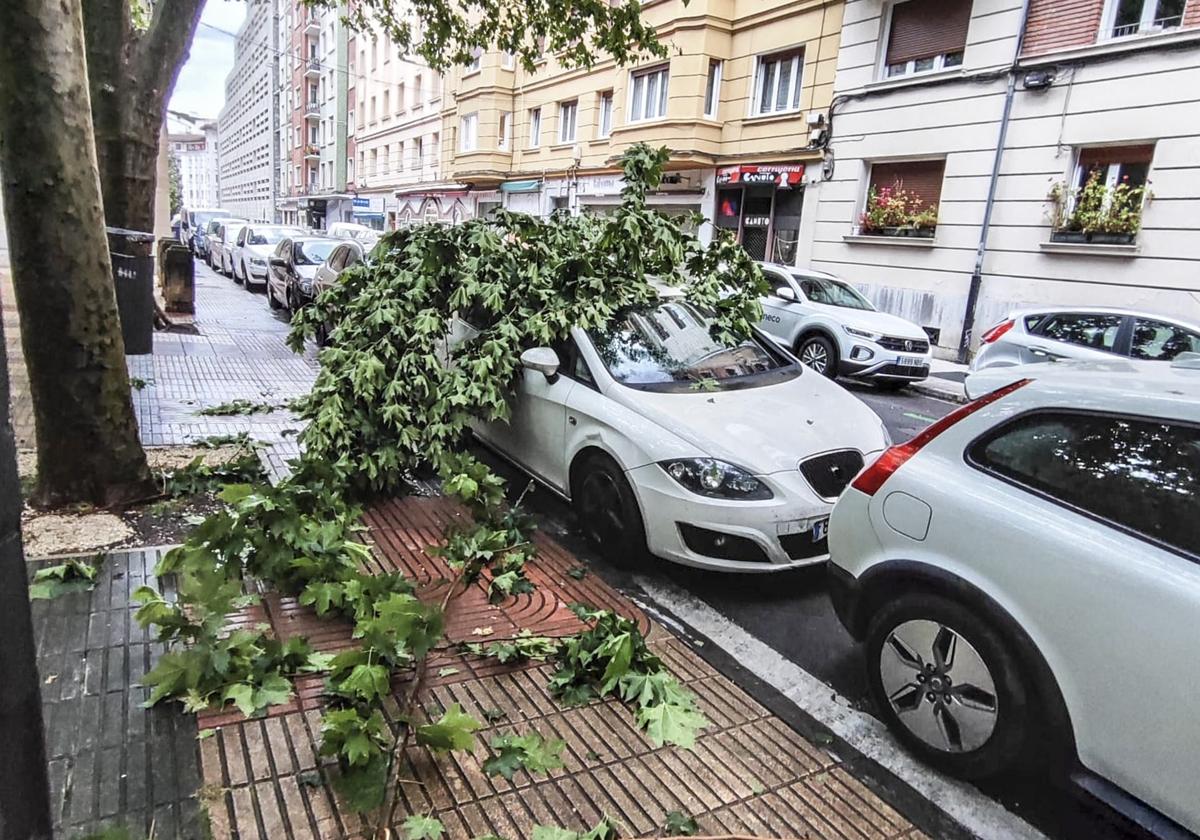 Vitoria retira los daños de la tormenta del viernes con la amenaza de más trombas este sábado