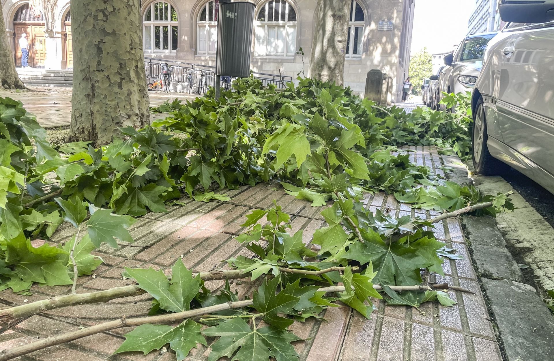 Vitoria retira los daños de la tormenta del viernes con la amenaza de más trombas este sábado