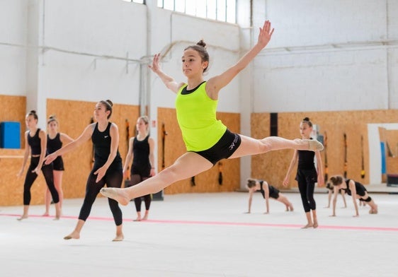 El Club Gimnasia Vitoria cuenta en sus filas con más de 325 niñas entre los que se incluyen actividades extraescolares en el Colegio San Viator y las instalaciones de El Estadio.
