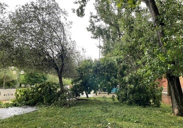 Nuevo aviso amarillo este sábado en Álava por fuertes tormentas