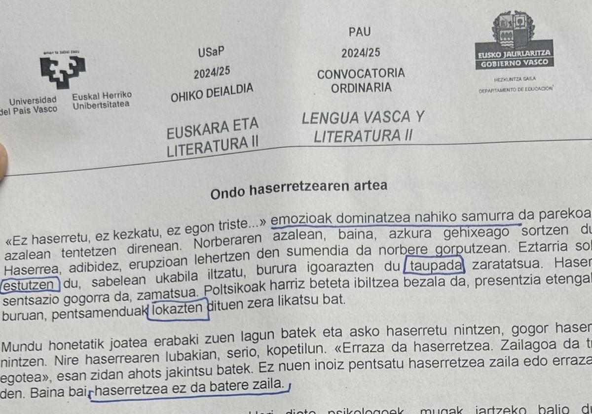 Así ha sido el examen de euskera en Euskadi: «Para aprobar, fácil»