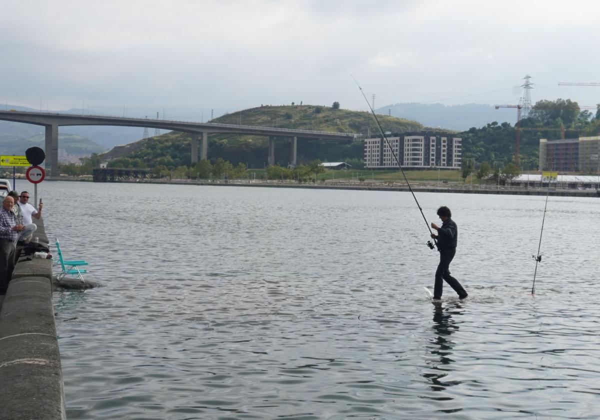 El Gobierno vasco estudiará la subida del nivel de la Ría de Bilbao y renaturalizará riberas en punta Zorroza y Sestao