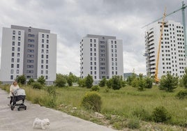 Zona en la que se ubica la parcela para pisos nuevos libres que ha salido a subasta en Larrein.