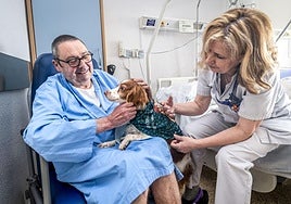 Los perros pueden acompañar a sus dueños hospitalizados en Txagorritxu y Santiago