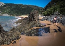Una playa vizcaína, candidata a convertirse en la mejor de España