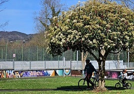 La ampliación del bidegorri hacia Muruetatorre por parte de los vecinos de Madalena es otra de las más destacadas.