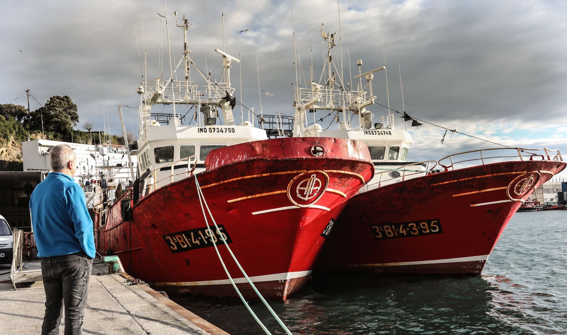 Pesca repartirá 263.000 euros para compensar la parada por la veda de delfines