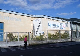 Instalaciones de la antigua fábrica de Lipmesa, en Areta.