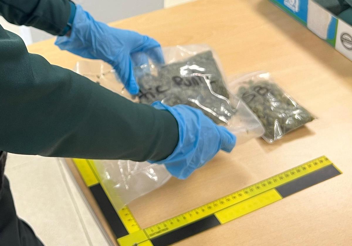 Investigado un vecino de Getxo tras recibir un envío con 100 gramos de marihuana