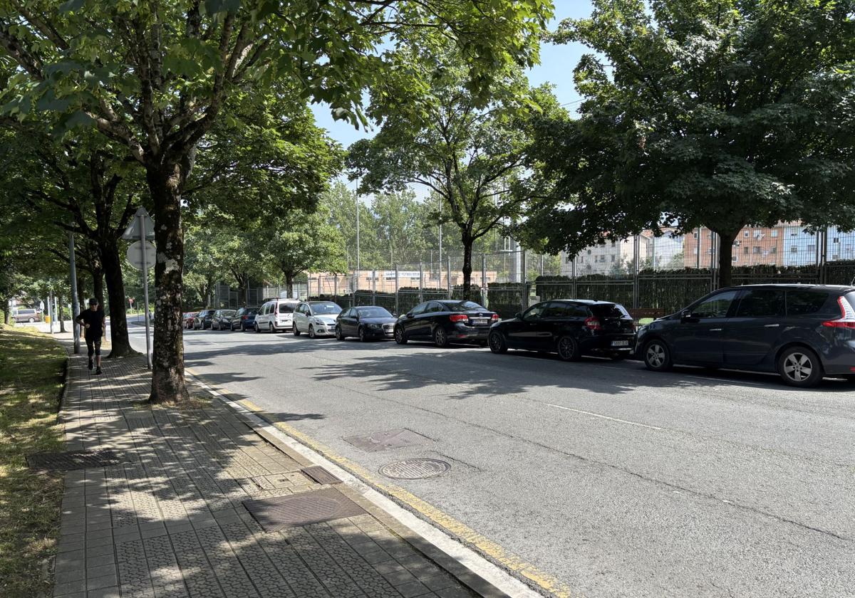 La tala de 17 árboles en Basauri enfrenta al gobierno local y ecologistas