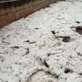 Imágenes de los bloques de hielo que se formaron con la granizada en Navarrete.