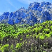 El bosque y los Picos de Europa forman una postal de cuento.