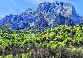 El bosque y los Picos de Europa forman una postal de cuento.