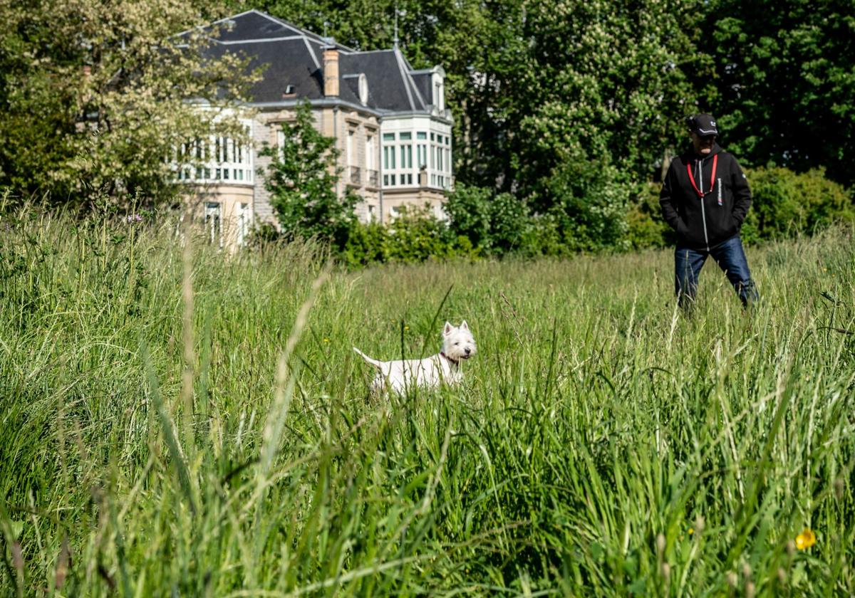La hierba sigue creciendo en las zonas verdes de Vitoria.