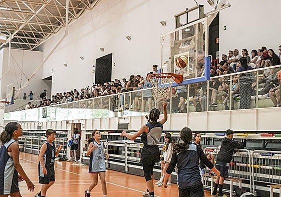 La competición y los equipos tienen carácter mixto.