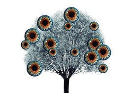 Mirar desde la distancia adecuada