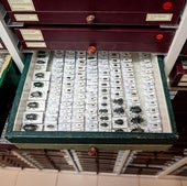 Escarabajos en uno de archivos del almacén del Ciencias Naturales.
